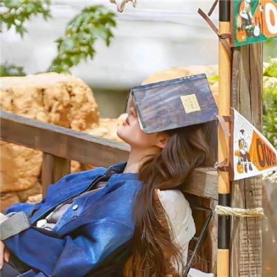 火星上的最后时日