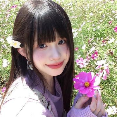 春满凤城